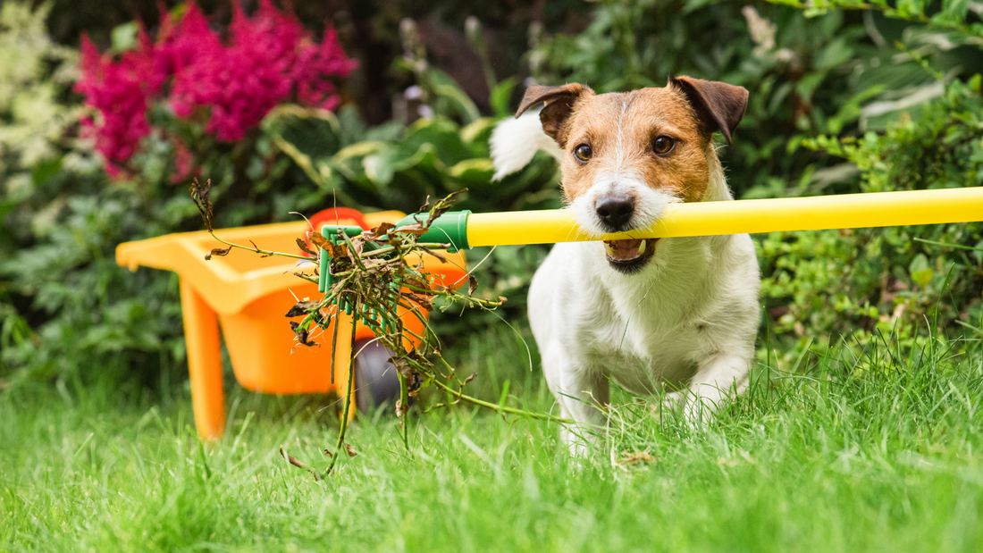 A Guide to Spring Garden Clean-Up, Prep, and Soil Amendment